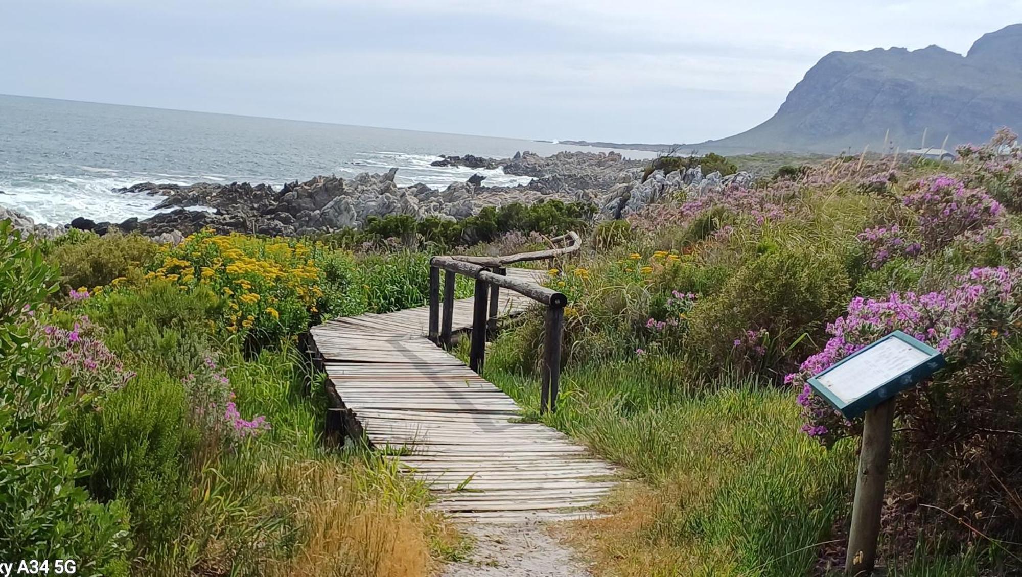 Kleinmond Panorama Holidays Exteriör bild